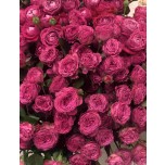 Пионовидные кустовые розы 7